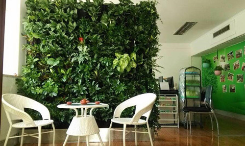 上海時(shí)尚辦公家具廠家|植物墻空間